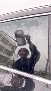 100ml Car Glass Anti-Fog Rainproof Agent Safe Windshield Spray Washer Fluids Effective Windshield Spray Water Removal Safe Car Rainproof Agent Windshield Spray Film Coating Agent Effective Glass Film Removal