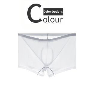 Transparent Super Stretch Breathable Underwear