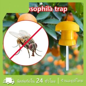 ส่งเร็ว!อุปกรณ์ดักแมลง ดักแมลงวัน ล่อแมลงวันทอง เปลี่ยนสำลีง่าย ใช้ได้กับทุกขวด