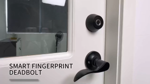 Biometric Smart Door Lock Keyless Entry - 10-Month Battery Life APP Control & Auto-Lock IP66 Waterproof Easy Installation with 2 Backup Keys