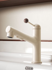 QIANMUYU | Pull-out Dual-use Faucet