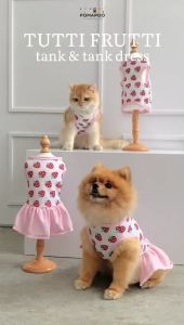 Tutti Frutti Tank Dress - Dress Kucing dan Dress Anjing POMAPOO Premium Berkualitas