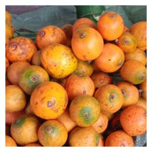 #หมากสุก หมากสด หมากแก่ หมากเหลือง หมากออแกนิค ปลอดสารเคมีทุกชนิด หมากคัดพิเศษ เคี้ยวมัน เคี้ยวเพลิน อรอ่ยน่ารับประทาน  2 kg. 369 ฿