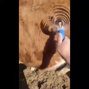 ราคาแปรงขนวัว 6 วง สแตนเลส 403 ชุด ราคาที่สุด รวม 6 ชุดขนวัว เหล่านั้น รูปแบบขนแกะ ขนแพะ และขนม้า สร้างความเครียด และสวยธรรมของคอลลาเจน