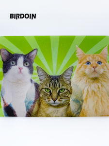 การ์ดโปสเตอร์ 3D ภาพสัตว์น่ารัก ของขวัญสร้างสรรค์ ของตกแต่งโต๊ะ ของขวัญวันหยุด ภาพวาด วัสดุอื่นๆ ของตกแต่งบ้าน