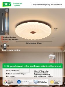 DGY | New Traditional Style Bedroom Ceiling Light