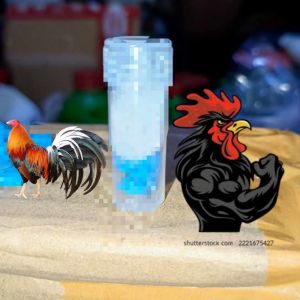 D-PILL 3X STRONGER THAN BLUE HEART FOR FIGHTING CHICKEN/SPIDER LOAD