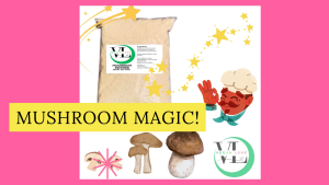 Mushroom Powder Seasoning Half Kilo (500 grams mushroom powder)