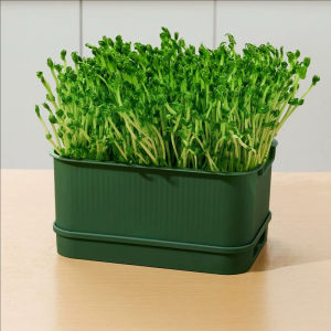 YESPERY Sprout Grower Box Seedling Tray Bean Sprouts Planting Hydroponic Box Grow Fresh Greens Effortlessly