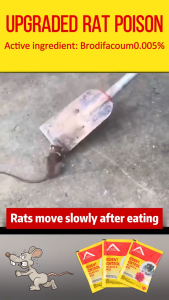❌️ Get rid of the whole nest of mice ❌️ Rat poison 100% effective rodent repellent Rat bait Rodenticide 50/100g Rat poison bait Mouse poison Mousetrap Rodent repellent Mouse bait Rat killer Rat poison Mouse poison Rodent repellent Rat poison