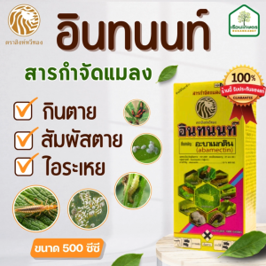 อินทนนท์ (น้ำใส) อะบาเมกติน สารกำจัดแมลง เพลี้ย หนอน ขนาด 500 ซีซี