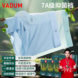 VADUM Forest Oxygen Bar Gift Box Antibacterial Ice Silk Hole Hole Pants Mens Underwear Briefs Grasscutter Care Youth Suitable