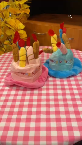 LK023 หมวก Happy birth day