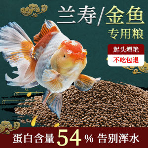 Taishi Lanshou High Protein Particles: Special Feed for Sanhu Cichlids & Butterfly Carp Koi