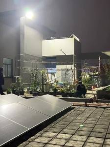 MaiMeng | Solar Outdoor Human Body Sensor LED Street Light