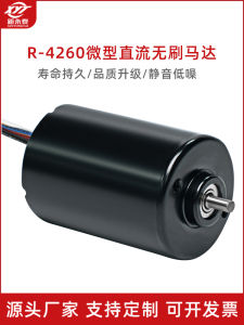 Động Cơ Điện Nhỏ R-4260 Không Chổi than Động Cơ Giảm Tốc Chạy Nhanh Hall Driven 12V 24V Động Cơ Điện Áp Định Danh Châu Âu