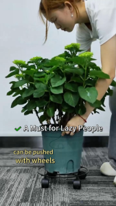 Metal Plant Flower Pot Stand Trolley Caddy With Wheels Plant Stand with Caster Garden Tools