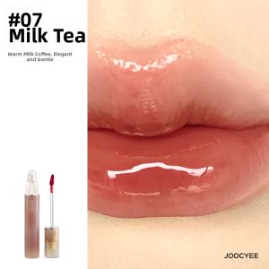 Dual-End Lip Glaze Shimmer Gloss Matte 443