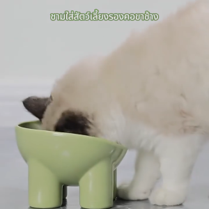 ชามกันมด สัตว์เลี้ยง (ทรงเฉียง) - สำหรับแมว/สุนัข ชามอาหารสัตว์ ที่วางอาหาร CW28