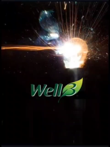 CNI Well 3 Leaf Enzyme Advanced Formula ( 30X5g ) - Blood Cleansing - Liver Support - Colon Cleansing - Support Digestion