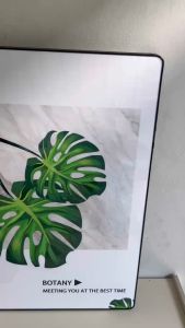 ผ้าแคนวาส สินค้าพร้อมกรอบ รูปภาพสวยงาม ภาพใบไม้ ถุงผนัง รูปภาพตกแต่งบ้าน กรอบพีวีซี