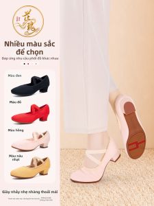 Lace-up Breathable Soft-soled Low Heel Dance Shoes