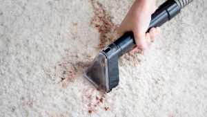 Corvan S6 & S7 TurboDry Spot Cleaner: Fabric & Carpet Stain Remover | Ordors Stains & Spills Removal | Strong Extraction & Fast Dry