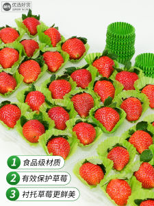 Patty Paper Green Decorative Packaging Paper Shockproof Baking Cake Cup Oil Paper Shock Resistant Kitchen Cooking Tools