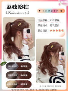 Natural Cold Mist Brown Hair Dyeing Paste Home Use No Bleaching Gentle on Hair Womens Hair Coloring Agent Plant Based