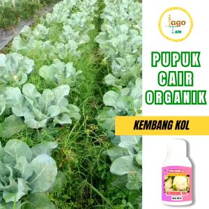 Pupuk Organik Cair Booster Percepat Masa Tumbuh Subur Kembang Kol 100 Ml By Jagotani Yogyakarta