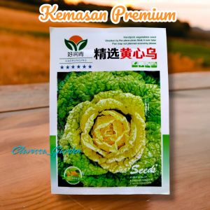 (KEMASAN PREMIUM) BIJI/BENIH ORNAMENTAL  FLOWERING KALE