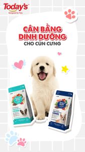 thức ăn hạt Today Dinner cân bằng dinh dưỡng cho chó - T3 PETS SHOP