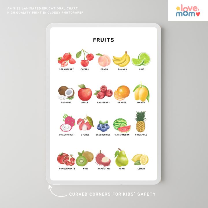 Minimalist Fruits Educational Wall Chart Laminated A4 Size - Durable ...
