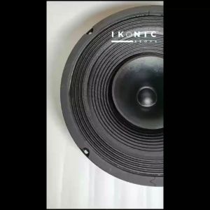 IKONIC Speaker 10 Inch Pasif Speaker Full Range C-1018-HW Power Speaker 300 Watt Original Bergaransi Resmi