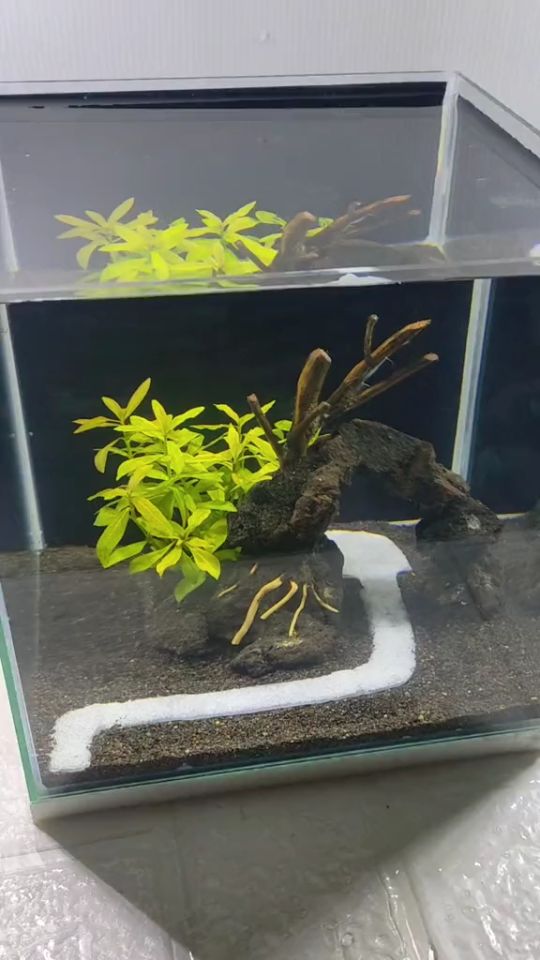 1kg Black Lava River Sand for Aquarium Aquascape Aquasacaping Aquarium Accessories