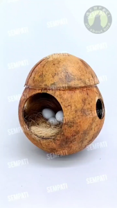 SEMPATI Glodok Bajing Batok Kelapa Sarang / Rumah Tempat Tidur Burung Lovebird Sugar Glider Hamster Tupai Marmut Musang Mini Gecko Sangkar Kandang Gelodok Batok Kelapa GLBJG