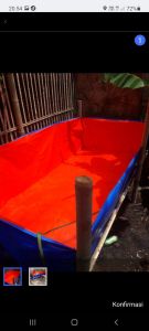 TERPAL IKAN 150X150X100 CM BAHAN A12 KOREA TEBAL BUKAN CINA