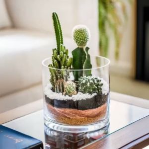 Binh Bông Lọ Hoa Thuỷ Tinh Ống Trụ Tròn D10cm x H10cm Trang Trí Decor D1010