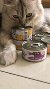 70g Kit Cat Kitcat Gravy Deboned Wet Can Food Cat Essentials All Stages Adult Kitten DR Pet Supplies