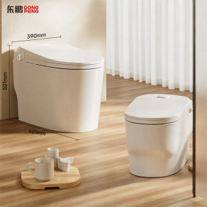 DONGPENG | Smart Fully Automatic Toilet