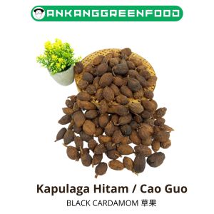 250 - 500 Gram Kapulaga Hitam Cao Guo Hei Doukou Black Cardamom Amomum