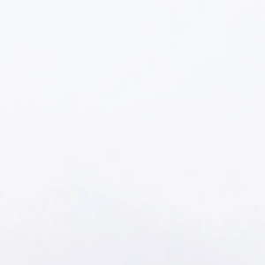 Xẻng xúc cát vệ sinh cho Mèo bằng nhựa PP (mẫu mới) - Hara Pet Store