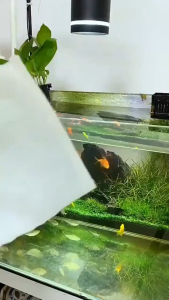 filter bag aquarium nylon mesh multifungsi 15x20CM/30x20cm /36x24cm