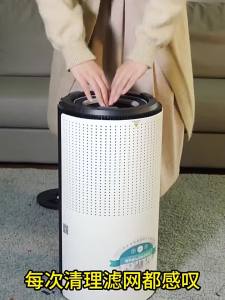 Portable Air Purifier Remove Formaldehyde Air Purifier For Room Smart Air Purifier Floating Hair Clearing hine Whole House Purification 空气净化器