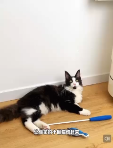 Zeze Telescopic Fishing Cat Catnip Teaser Toy