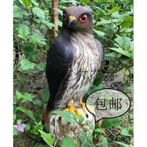 Balcony Owl Eagle Bird Deterrent Model Realistic Owl Hawk Simulation Ornament Fruit Basket Decoration Chinese New Year Gift