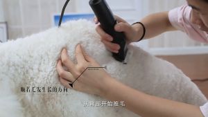 Dog Hair Trimmer Animal Grooming Clippers Cat Cutters Machine Shaver Electric Scissor