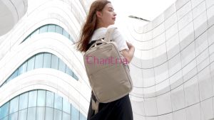 Chantria CB00766 Travel Work School Bag With Laptop Compartment Large Capacity Nylon Backpack For Women