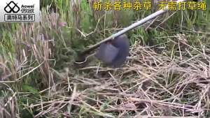 Kepala Rantai Mesin Pemangkas Potong Babat Rumput Ilalang Kebun Rantai Kepala Lawn Mower Chain Head Chain Trimmer Head Grasser