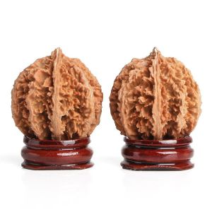 Lan Canh Lớn Hình Đèn Lồng Ngũ Hành Sông Hồng Trang Sức Thời Trang Nam Vật Dụng Chơi Đùa Bằng Gỗ Hạt Óc Chó Mới Đồ Thủ Công